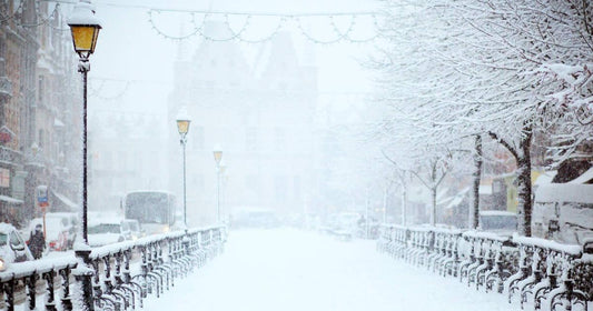 5 sorties nature à faire en famille à Paris