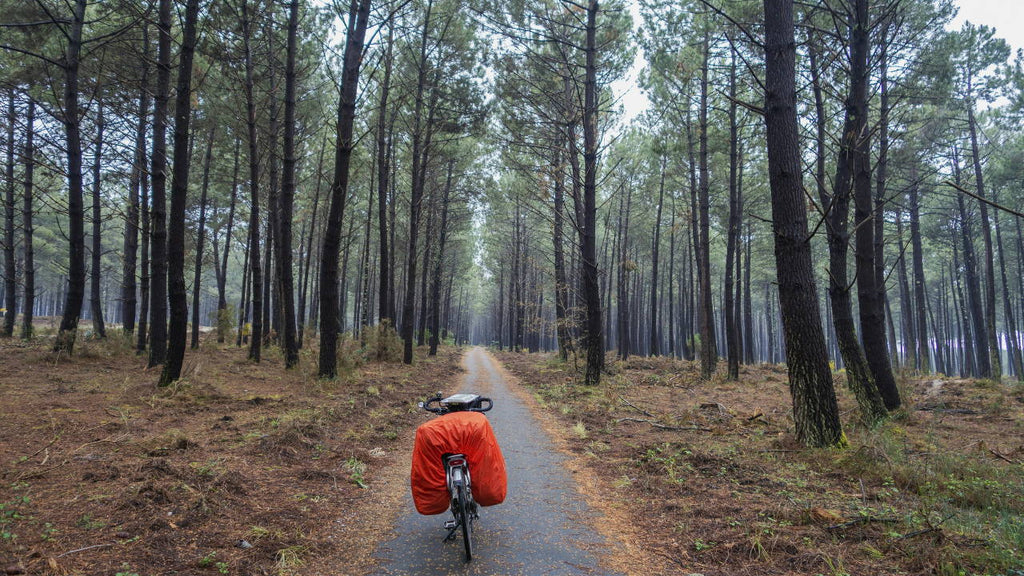 Un roadtrip en furgoneta por las Landas: ¡nuestro itinerario!