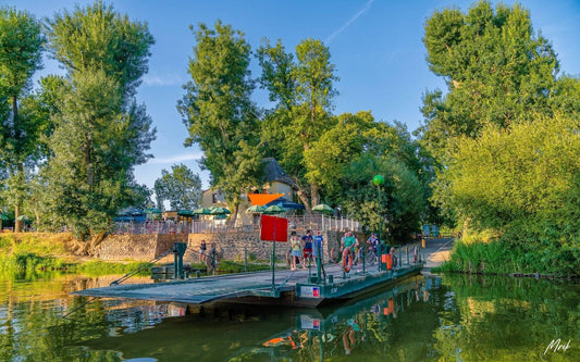 5 sorties nature à faire en famille en hiver à Angers