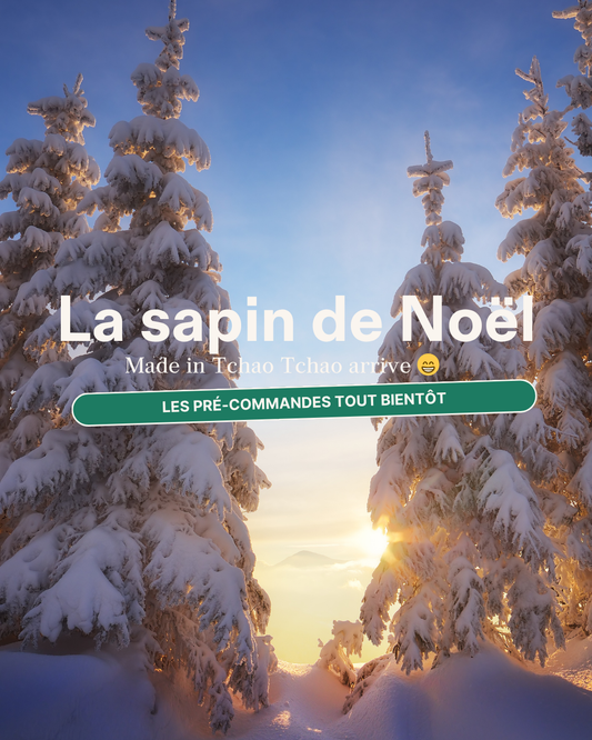 Sapin de Noël en bois Made in France