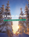 Sapin de Noël en bois Made in France